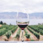 Turismo, vinho e experiência – Uma trilogia geradora de sucesso e desenvolvimento